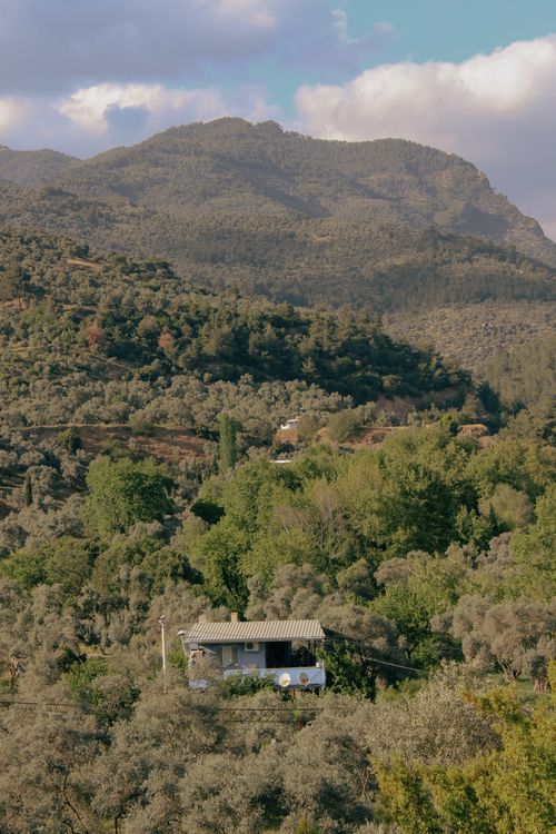 Free A peaceful rural scene with a house nestled among trees and mountains. Stock Photo