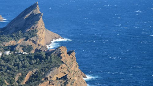 Foto d'estoc gratuïta de arbres, Costa, erosionat