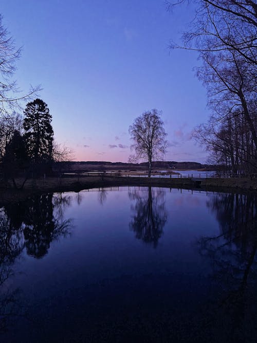 Darmowe zdjęcie z galerii z brzeg jeziora, drzewa, jezioro