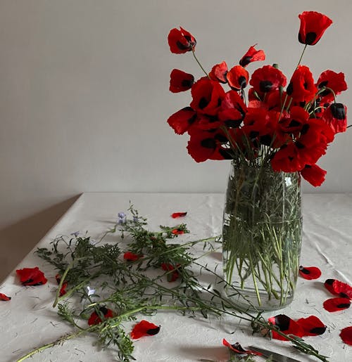 Red Flowers in Clear Glass Vase