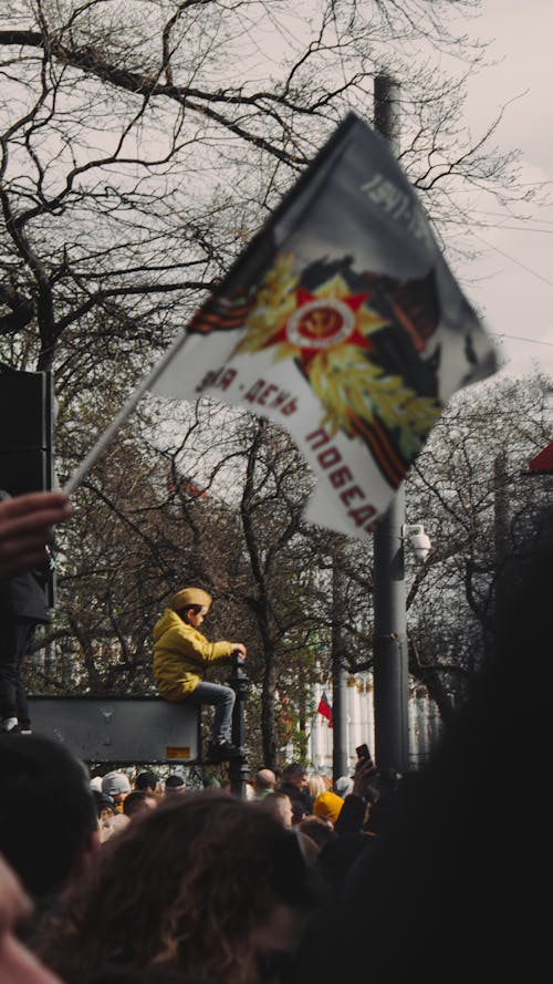 Fotos de stock gratuitas de arboles, bandera, concurrido