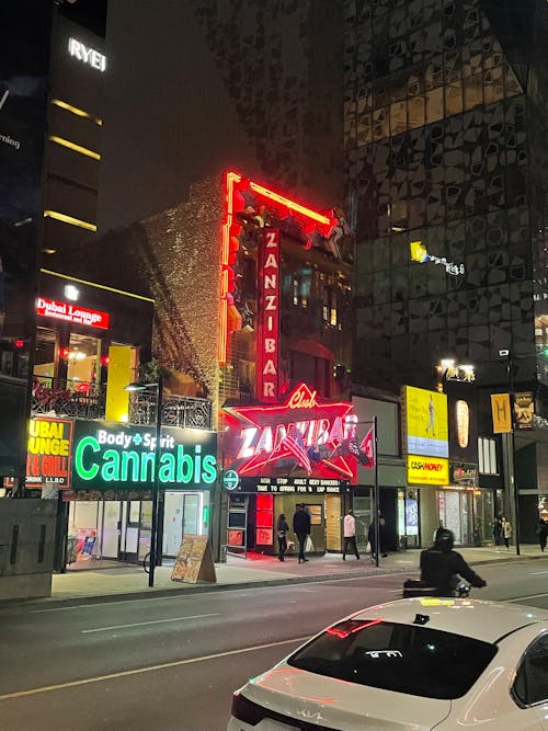 Základová fotografie zdarma na téma downtown toronto, městská ulice, městských ulicích