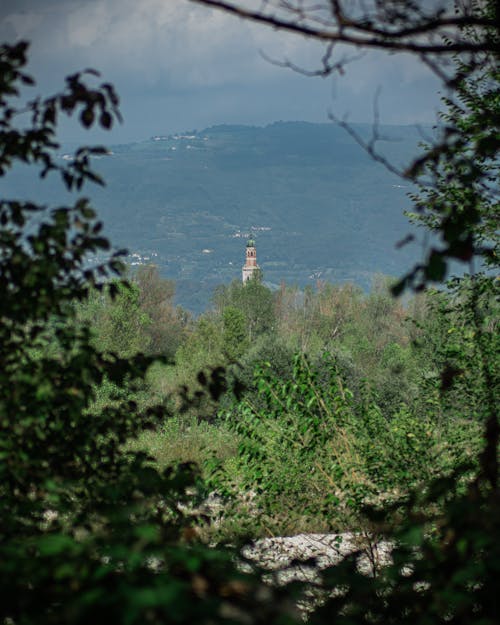 Kostnadsfri bild av berg, gröna träd, landsbygden