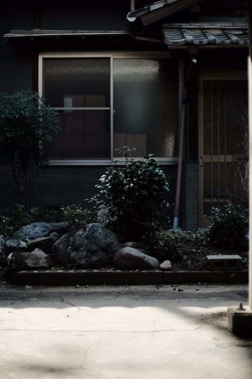 Free A serene Japanese garden view with lush plants and stones, captured in soft light. Stock Photo