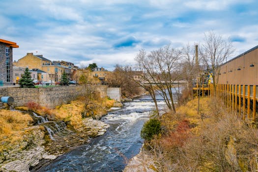 Wellington, New Zealand photo 17