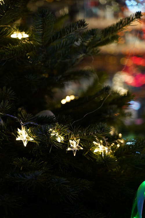 dikey atış, kapatmak, Noel ağacı içeren Ücretsiz stok fotoğraf