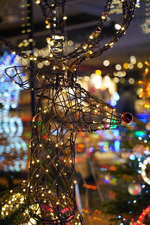 Free Elegant wireframe deer adorned with Christmas lights in a festive holiday setting. Stock Photo