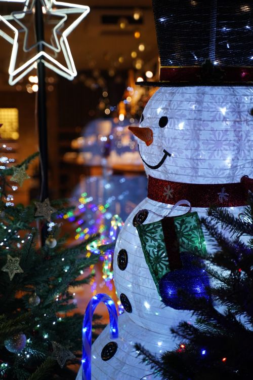 Free A cheerful snowman surrounded by Christmas trees and lights, perfect for holiday themes. Stock Photo