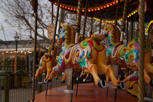 Foto d'estoc gratuïta de cavallets, cavalls, colorit