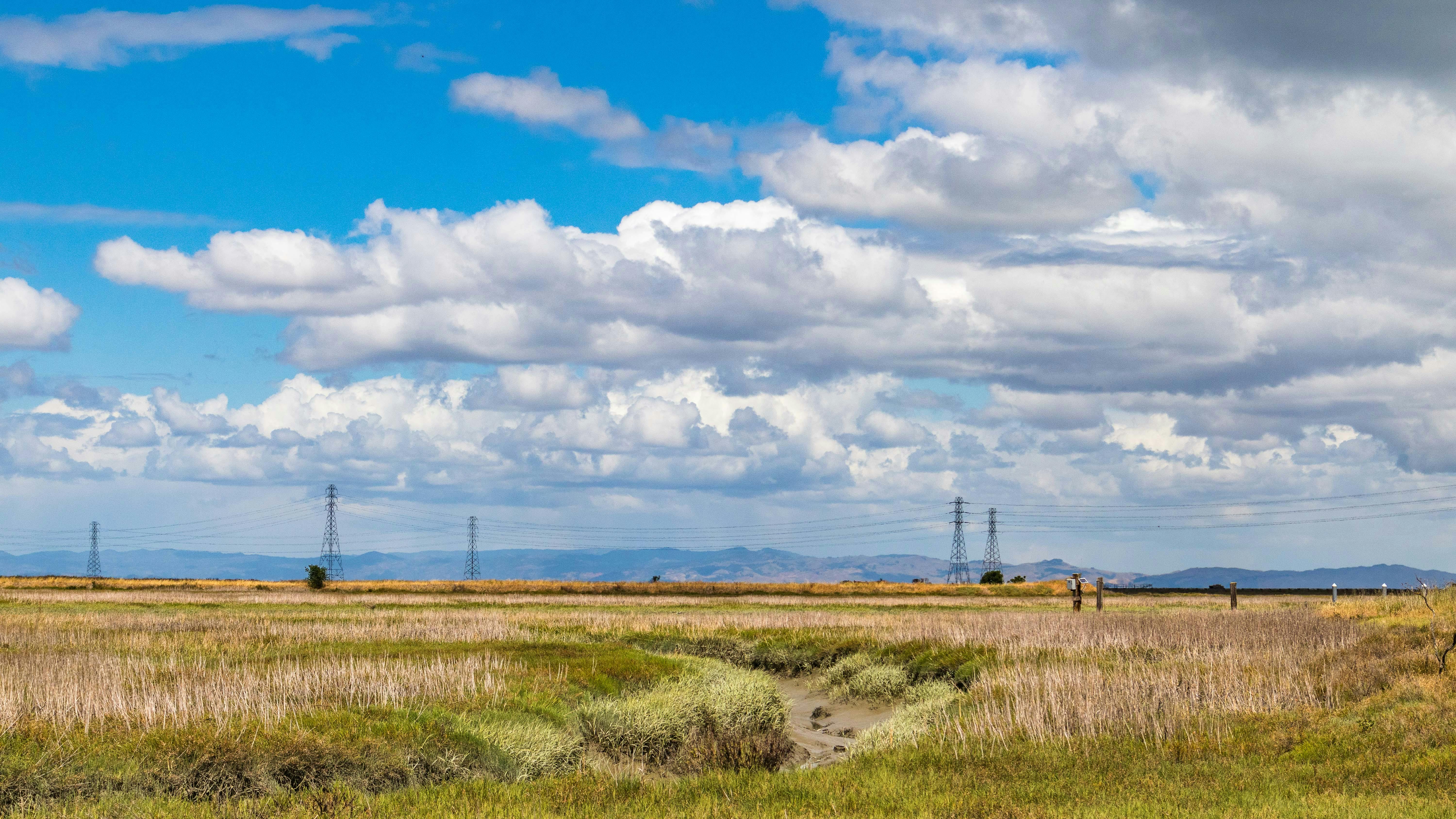 Agricultural fields and transmission towers in California's Central Valley