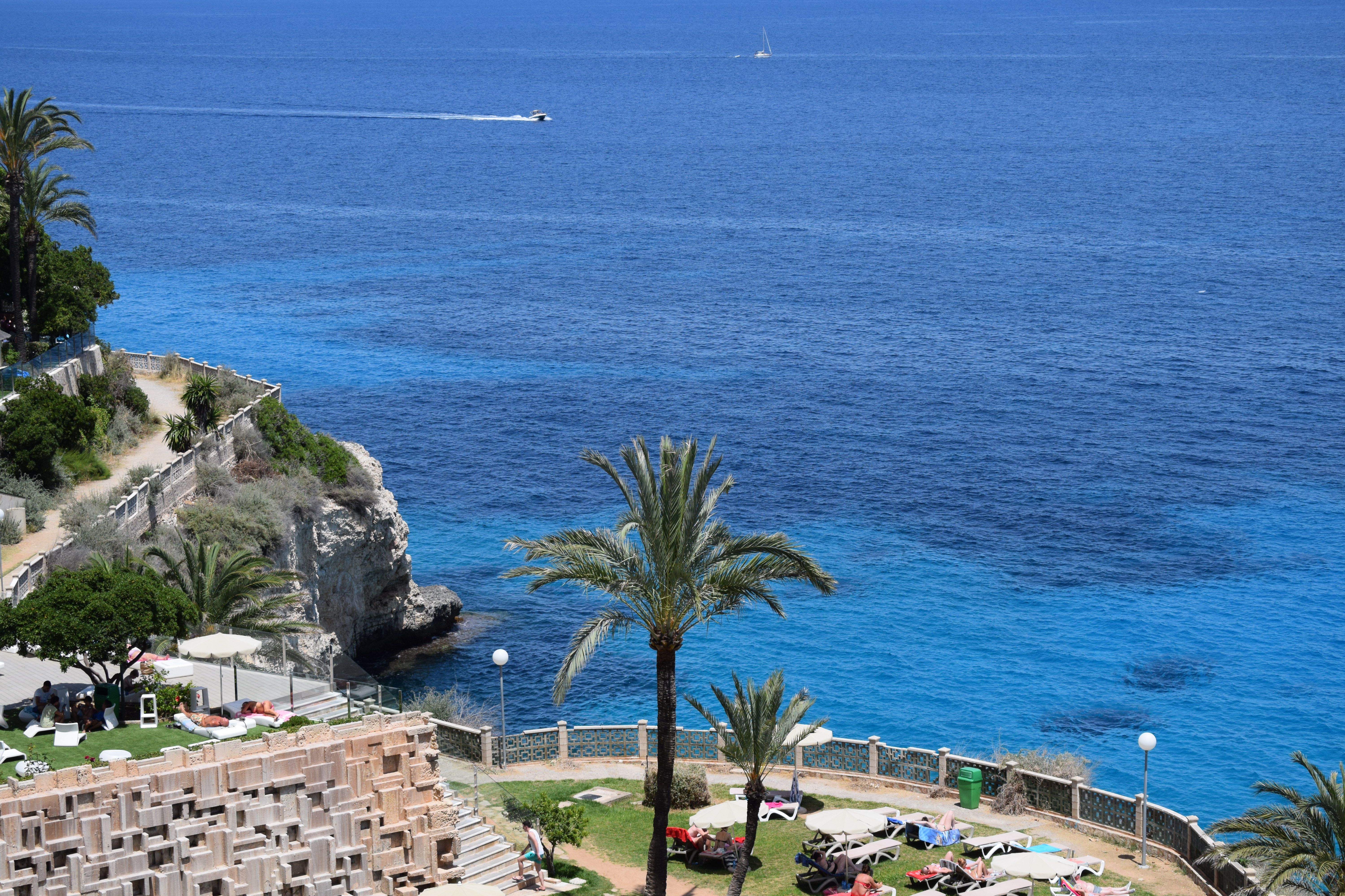 Une vue à couper le souffle sur une falaise méditerranéenne bordée de palmiers et d'eaux d'un bleu azur limpide.