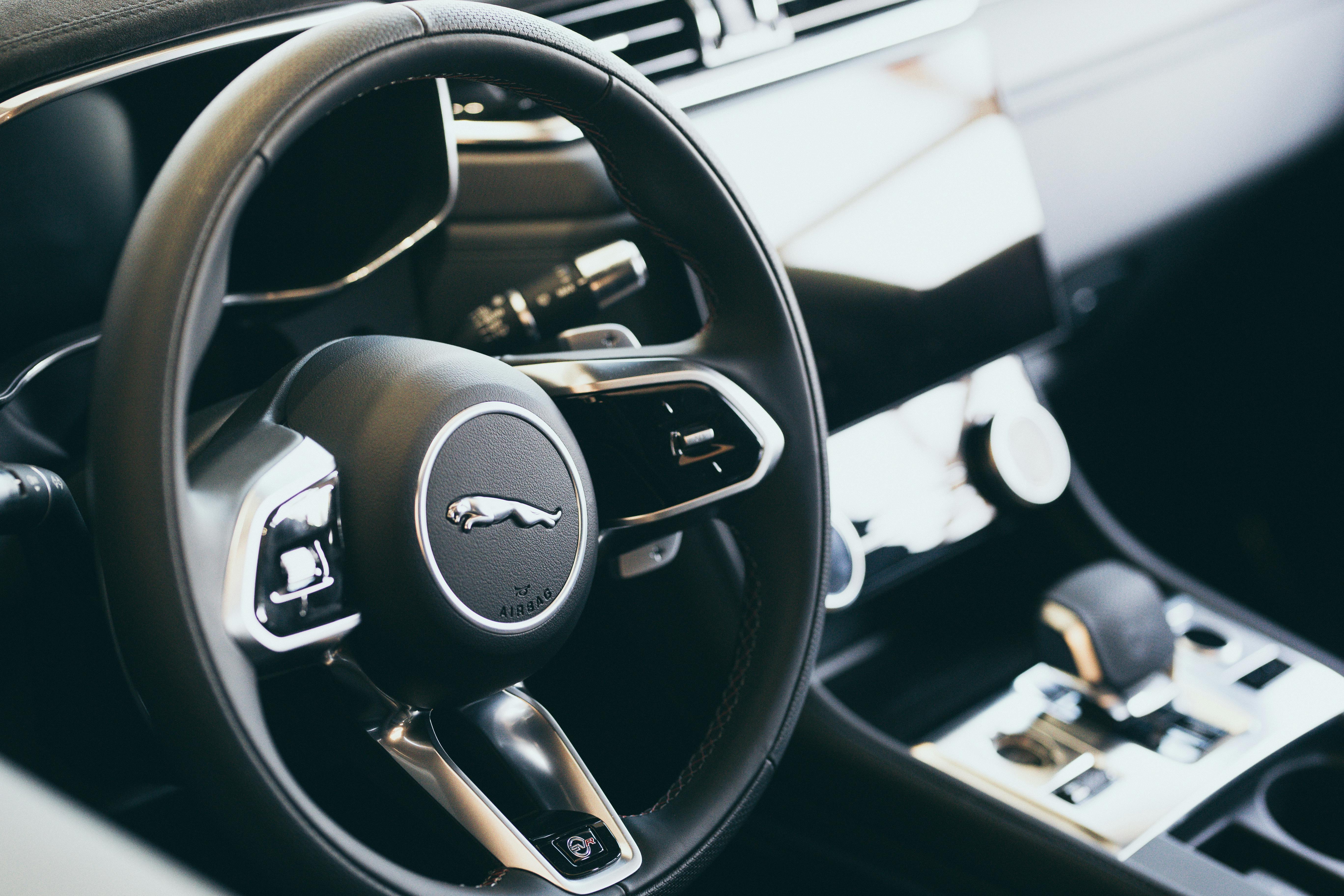 Logo on Steering Wheel · Free Stock Photo