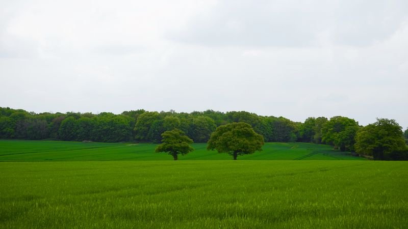 Natural burial burial ground
