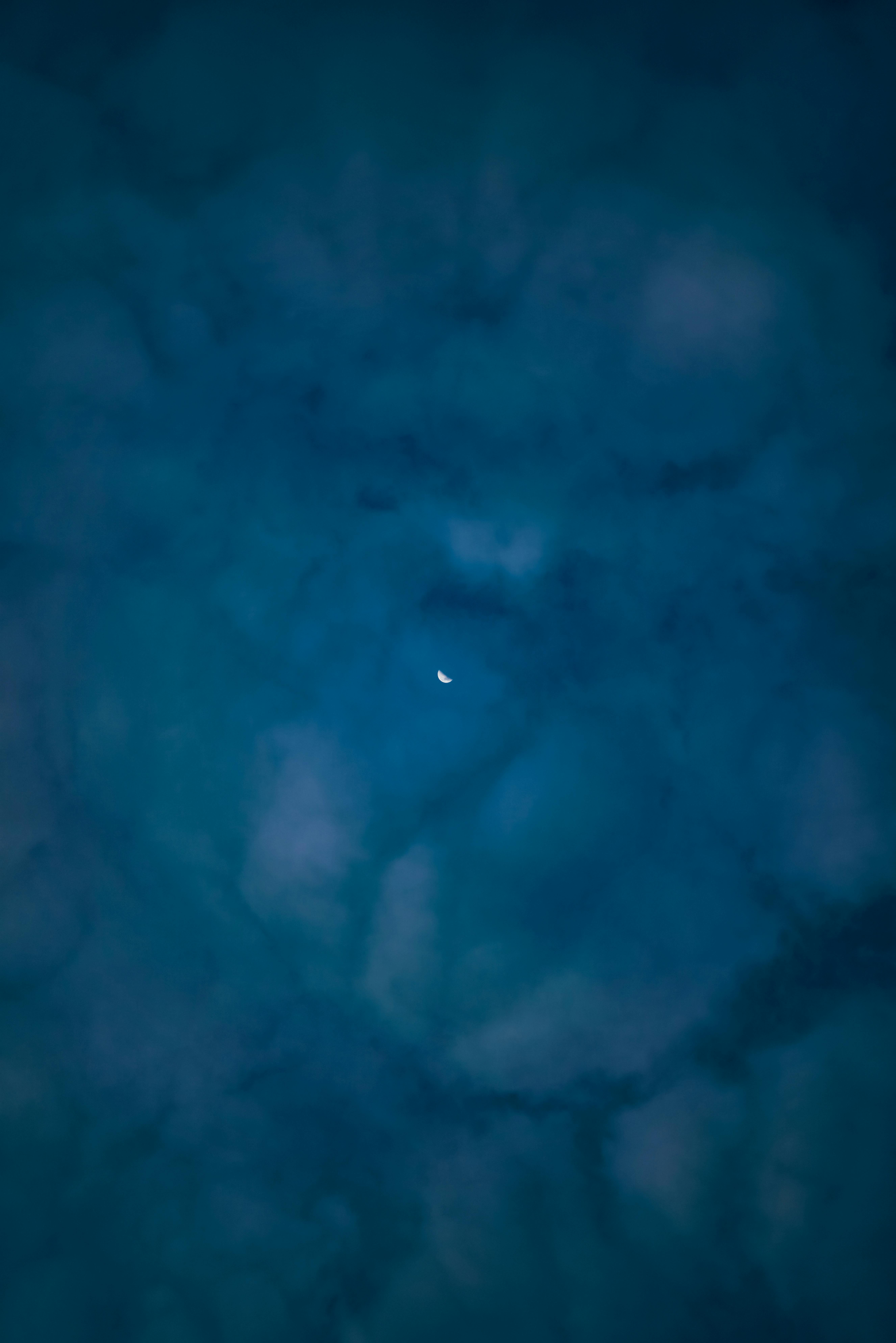 What are 12 moon signs?