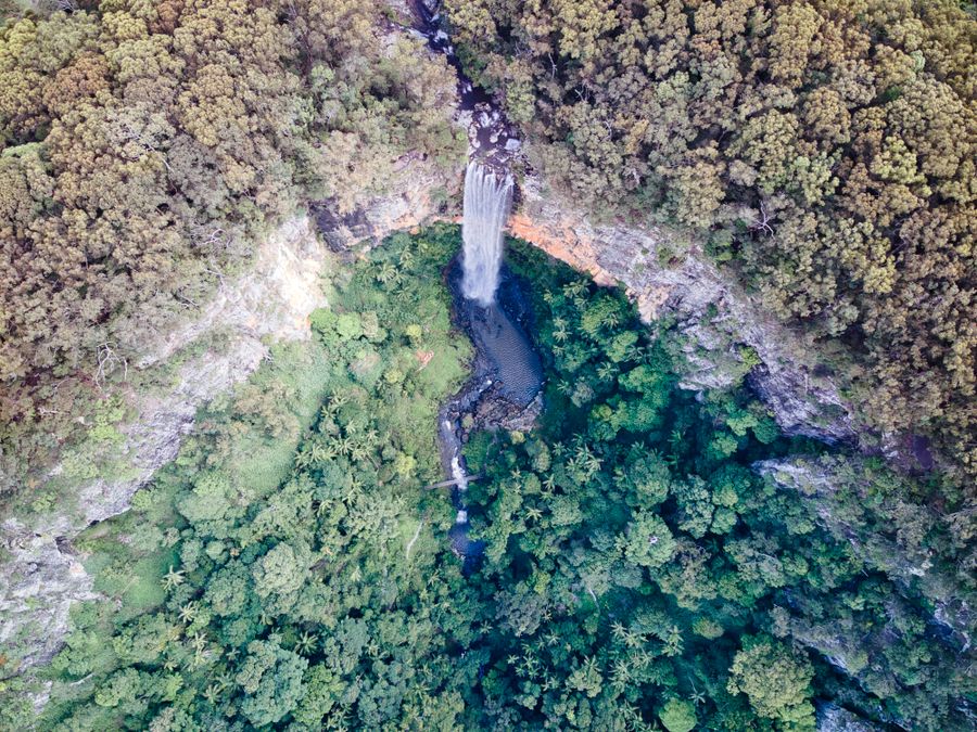 Springbrook: waterfalls and Natural Bridge