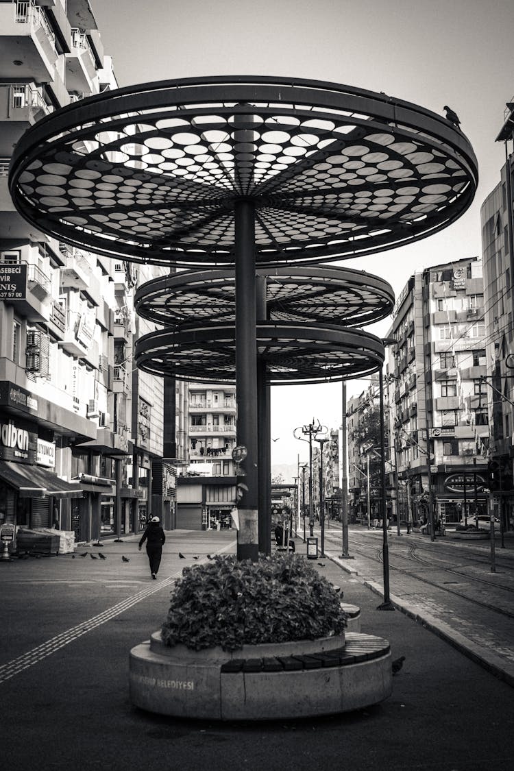 Circular Bus Shelters By Street