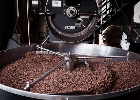 A detailed image of coffee beans cooling in a Probat roasting machine indoors.