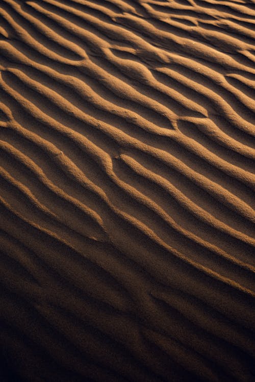 Kostenloses Stock Foto zu dürr, nahansicht, sand