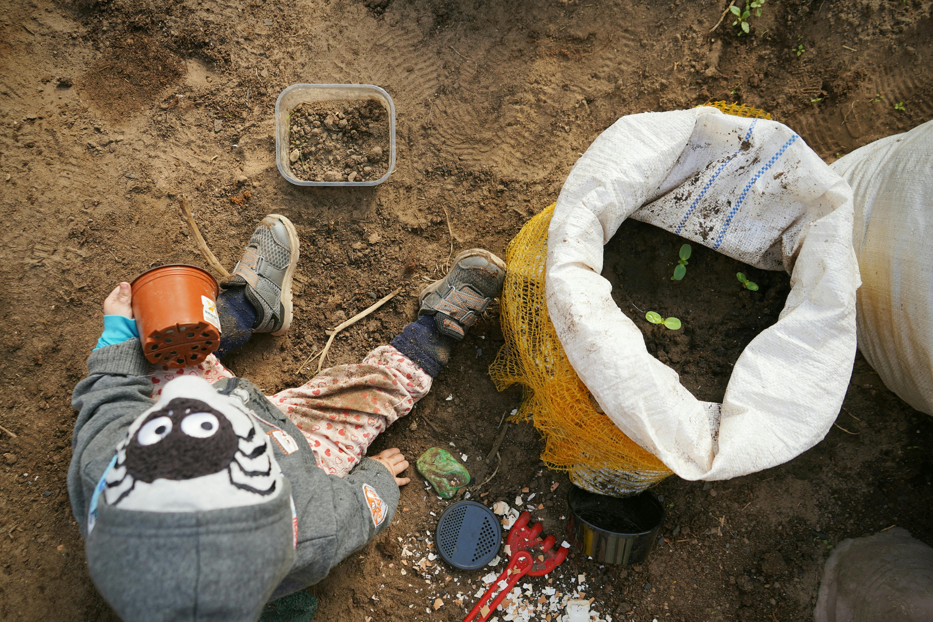 Dig Into Your Garden This Spring With Our Favorite Gardening Gloves — Photo by Eli Pluma on Pexels