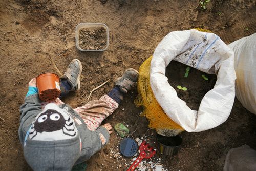 Free Top view of a child gardening with soil, pots, and seedlings on the ground. Stock Photo