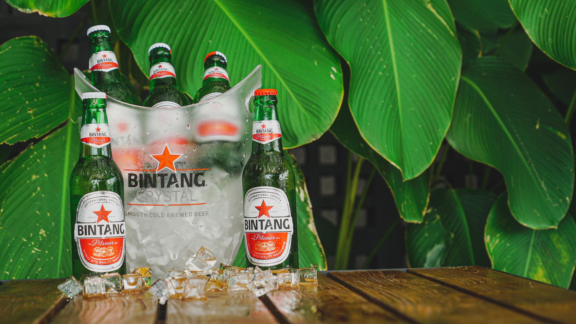 Refreshing Bintang beer bottles on a table with ice, framed by lush green leaves.