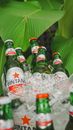 Green Glass Bottles on the Table