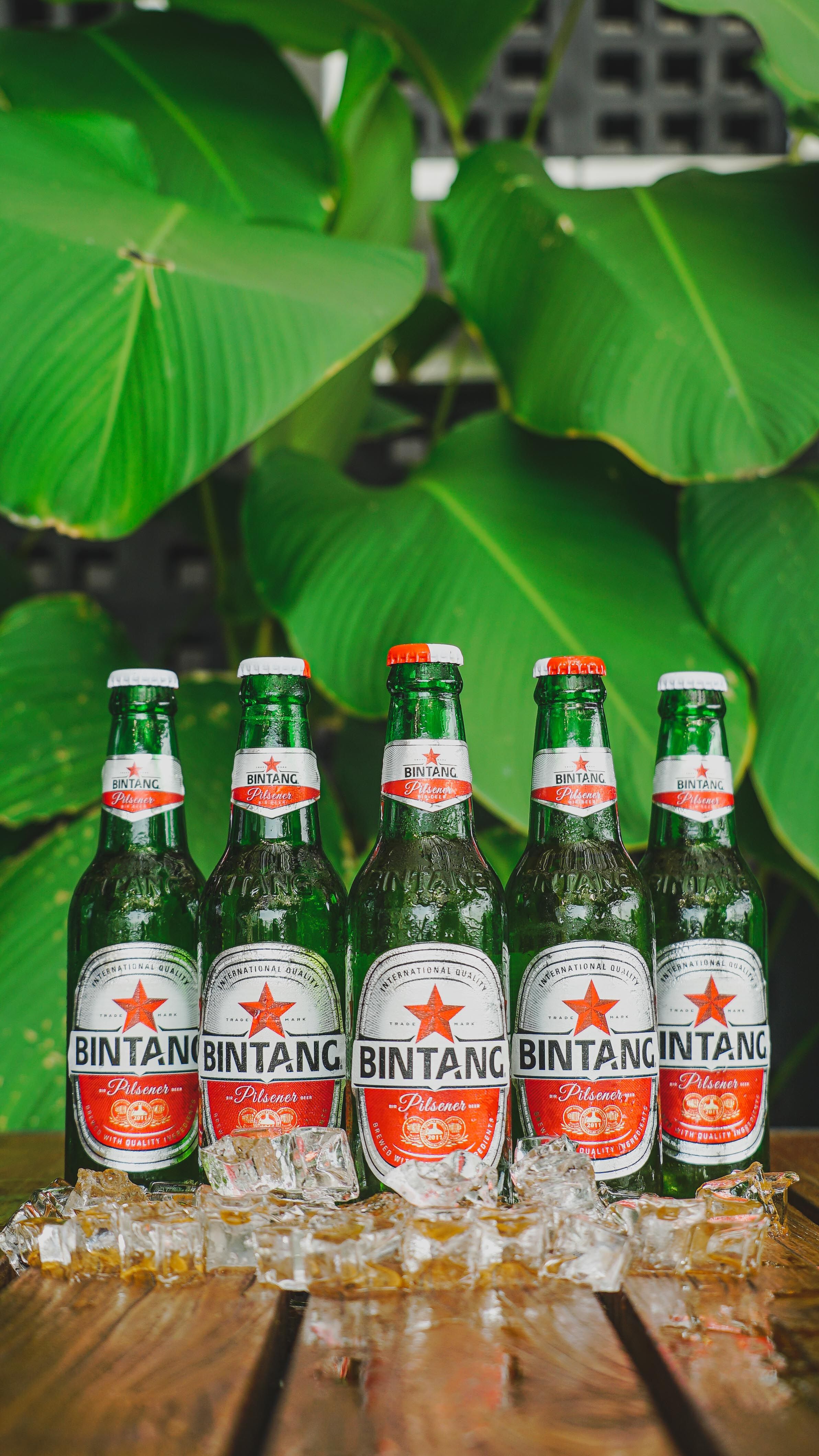 Five Bintang beer bottles on a wooden table, surrounded by ice and lush green leaves.