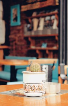 A close-up of a potted cactus in a cozy cafe setting, showcasing selective focus and warm tones.