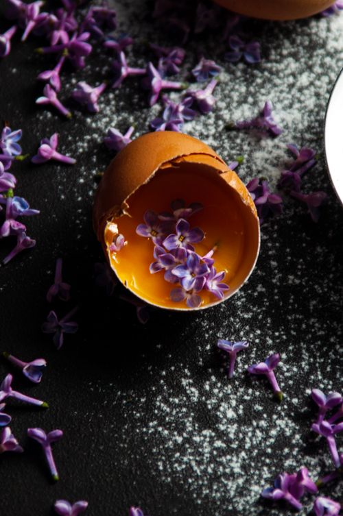 Free Creative still life with eggshell, yolk, and lilac petals on dark textured background. Stock Photo