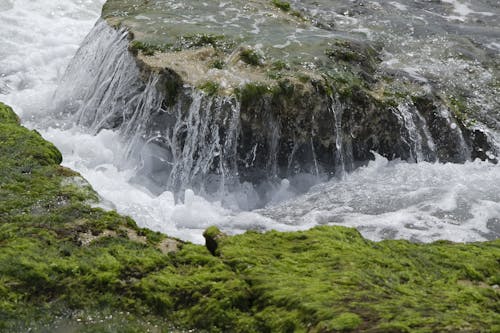 Immagine gratuita di acqua, mare