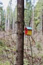 Bird House on a Tree