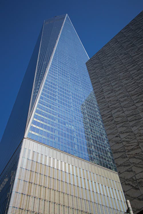 Základová fotografie zdarma na téma město new york, modrá obloha, mrakodrap one world trade center