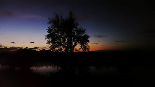 Free stock photo of night, sunset