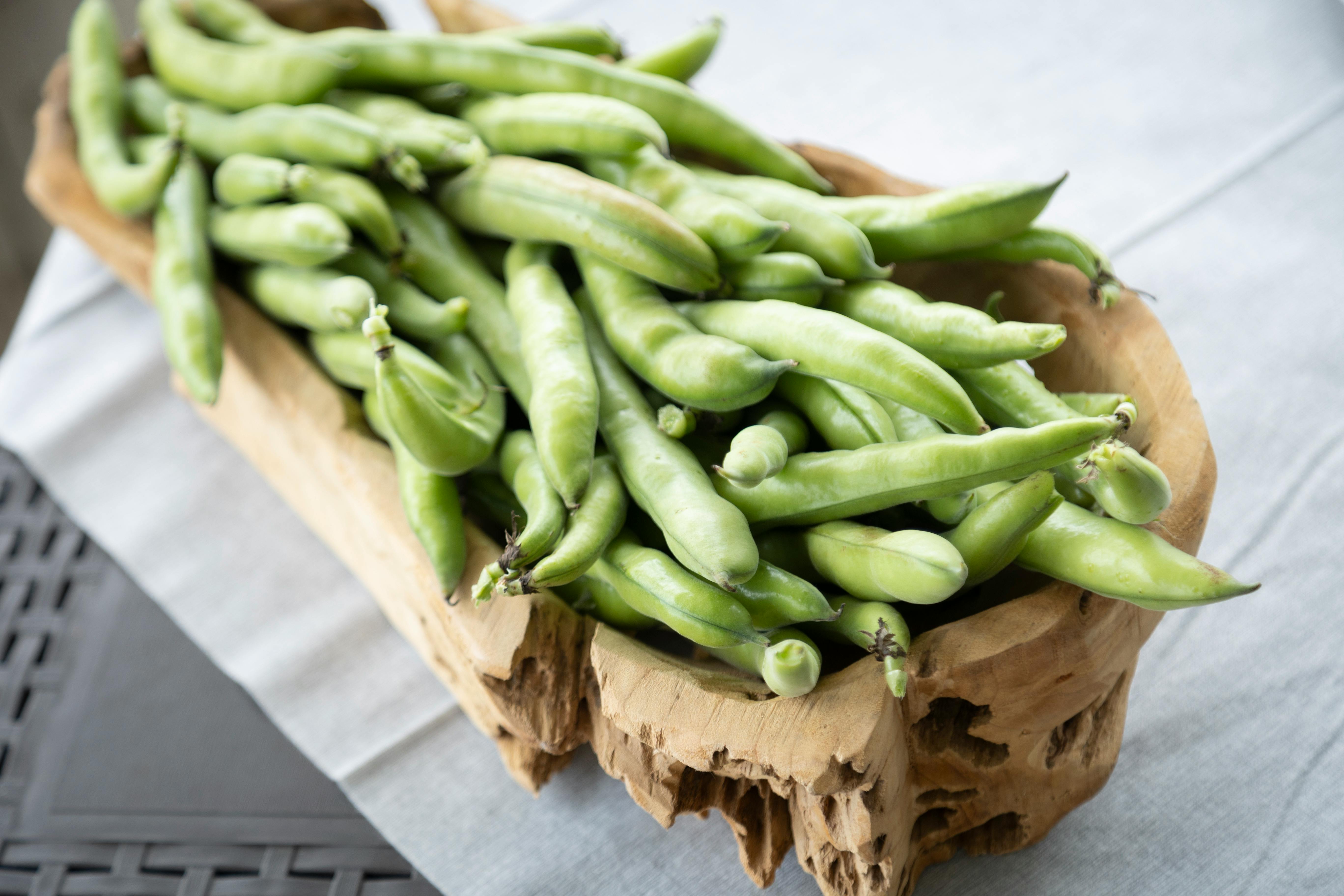 Monica Broad Bean