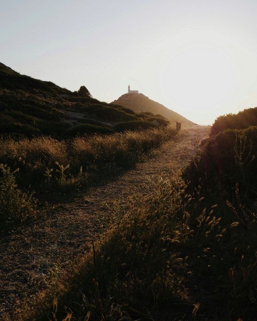 Tranquil unpaved pathway leading into sunset in Muğla, Turkey. Perfect for peaceful outdoors scenery.