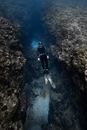 Diver Swimming in the Ocean