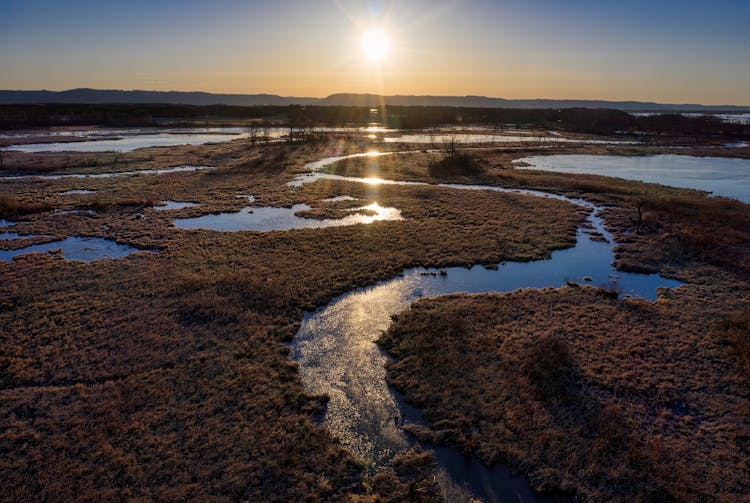 Marshland During Sunset