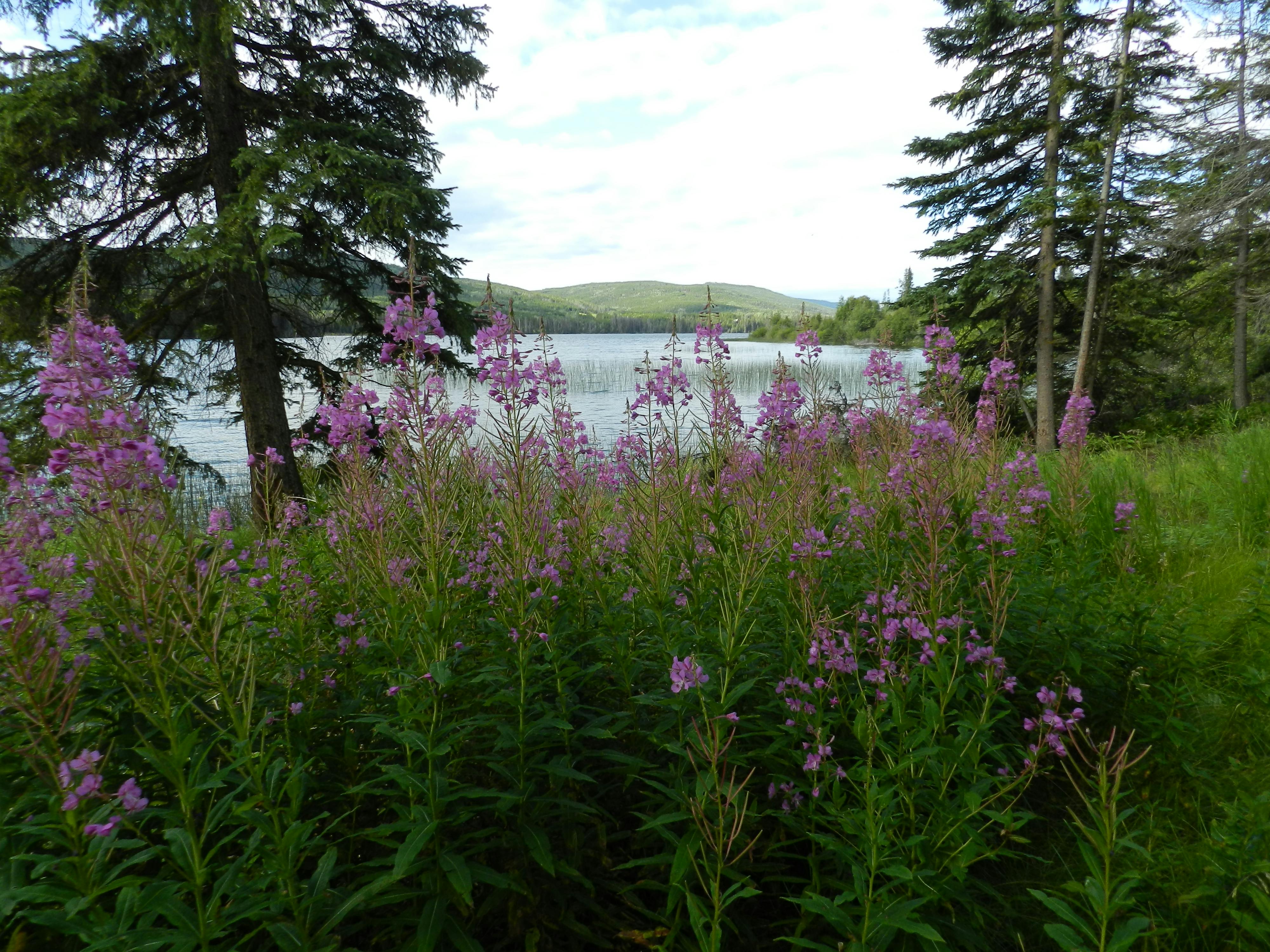 Visit Kunsthaus Zurich