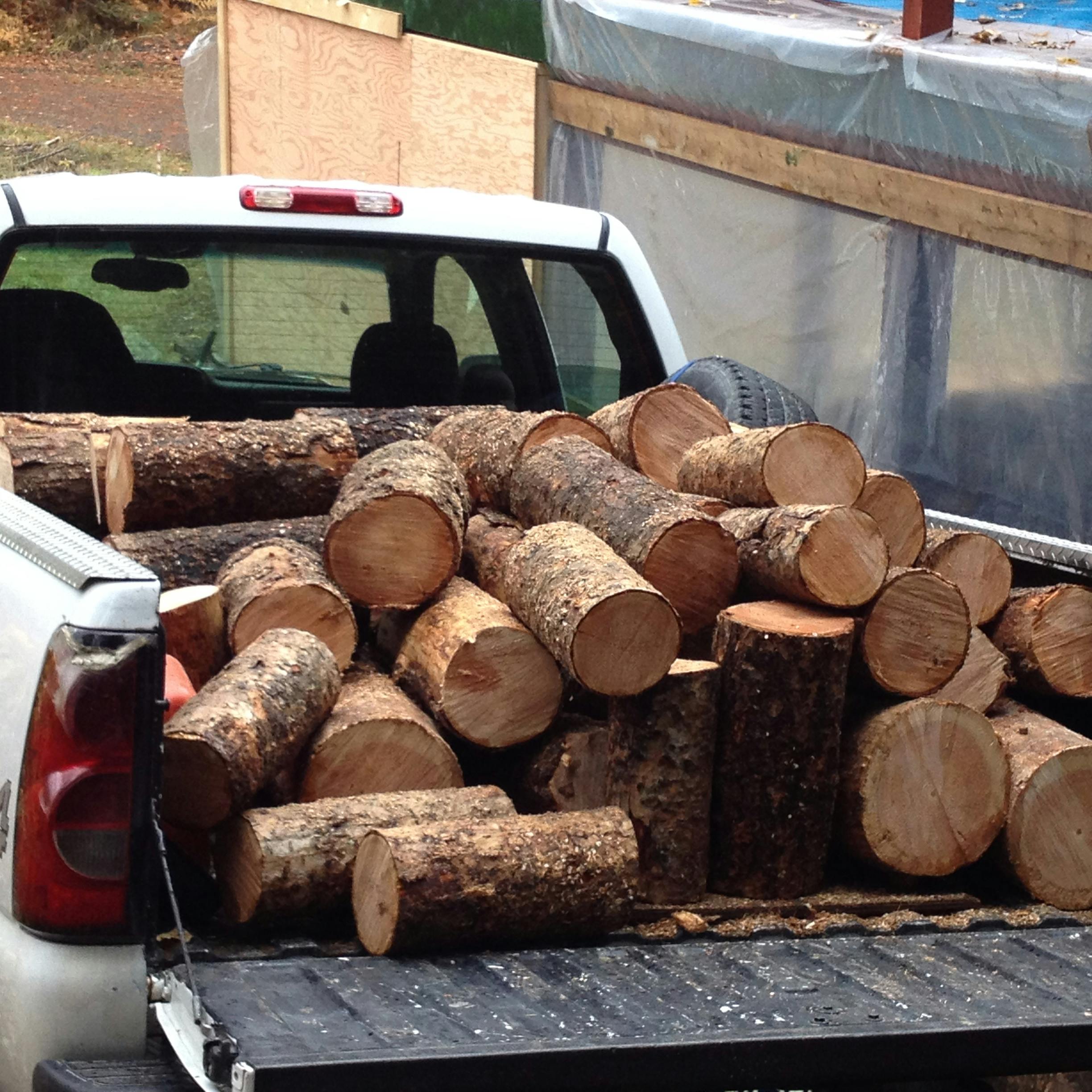 Free stock photo of firewood, truck, wood