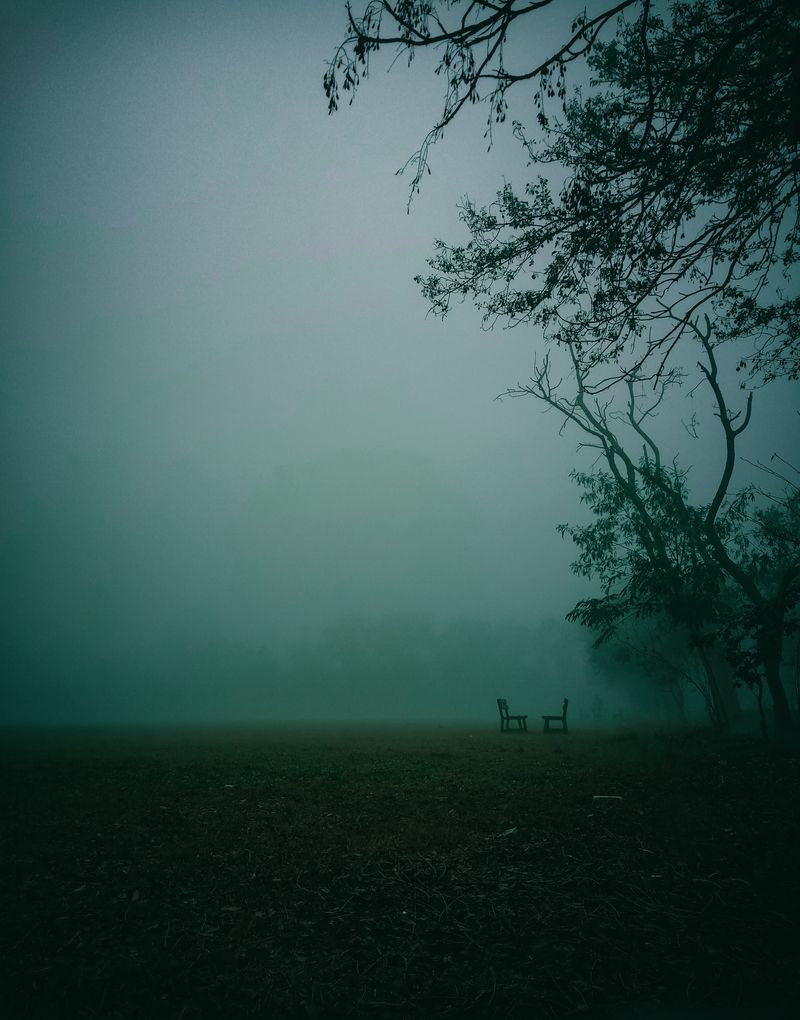 eerie forest fog lonely chairs