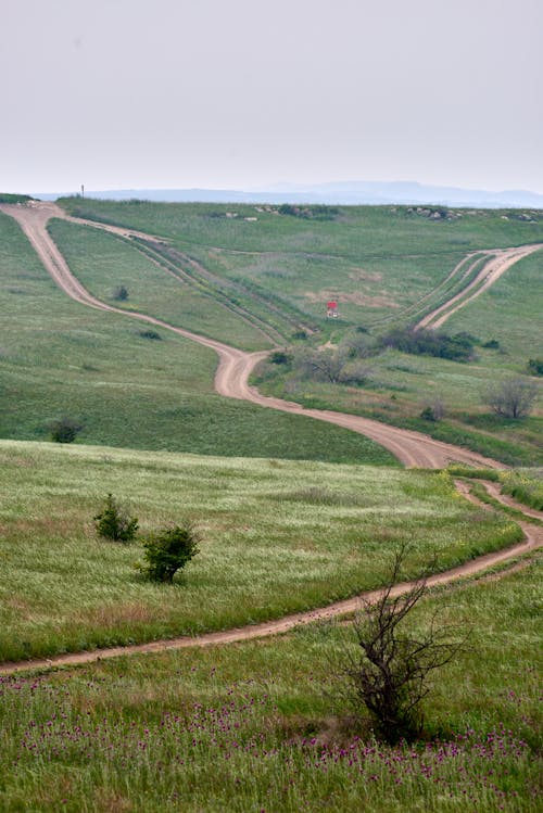 Immagine gratuita di campagna, campo, colline