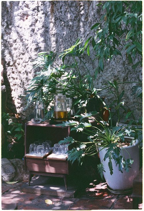 Free A rustic outdoor setup with drinks and glassware surrounded by lush greenery. Stock Photo