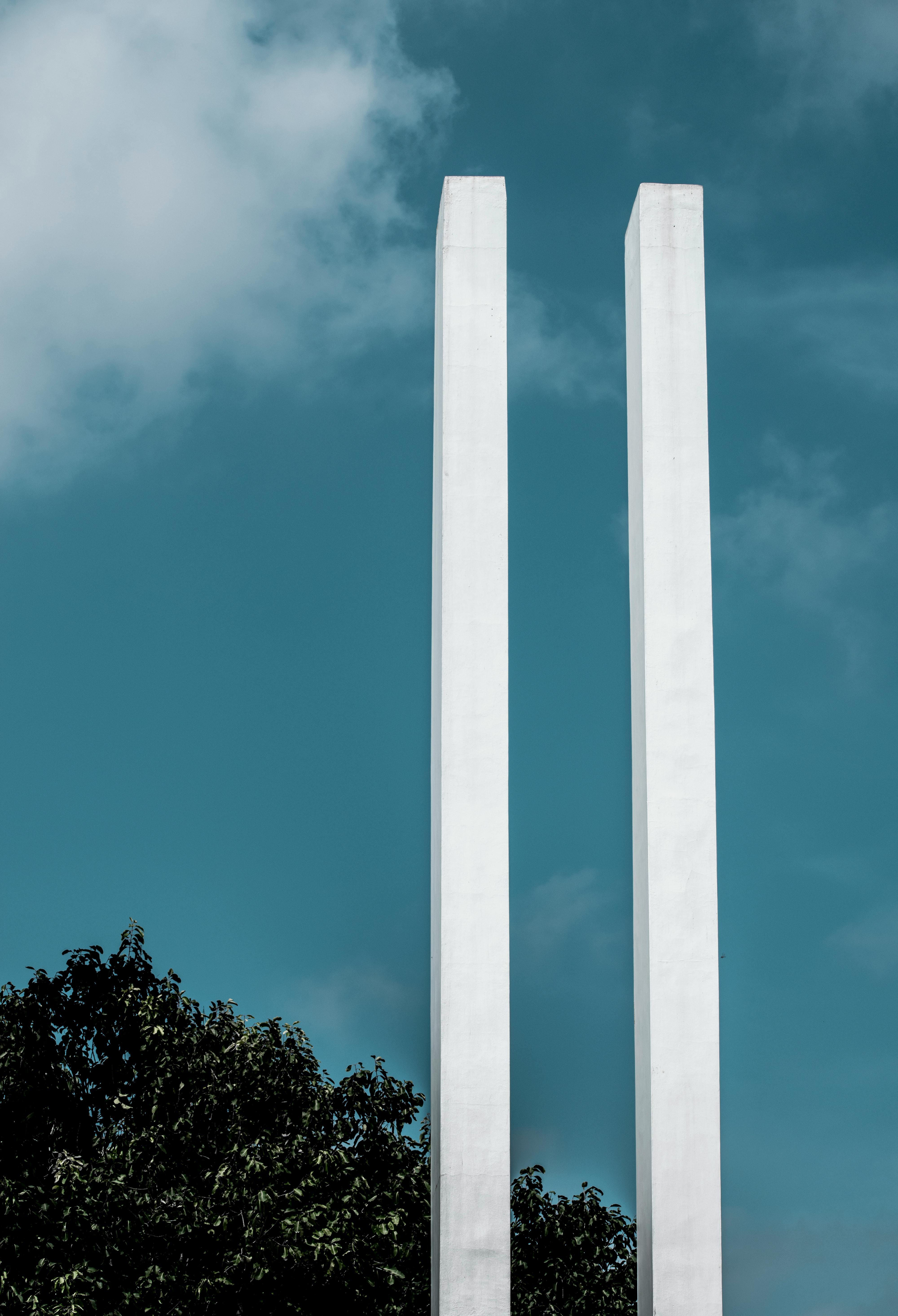 Summer Tree Photos, Download The BEST Free Summer Tree Stock Photos