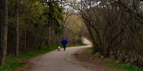 Free stock photo of alberta, canada, edmonton