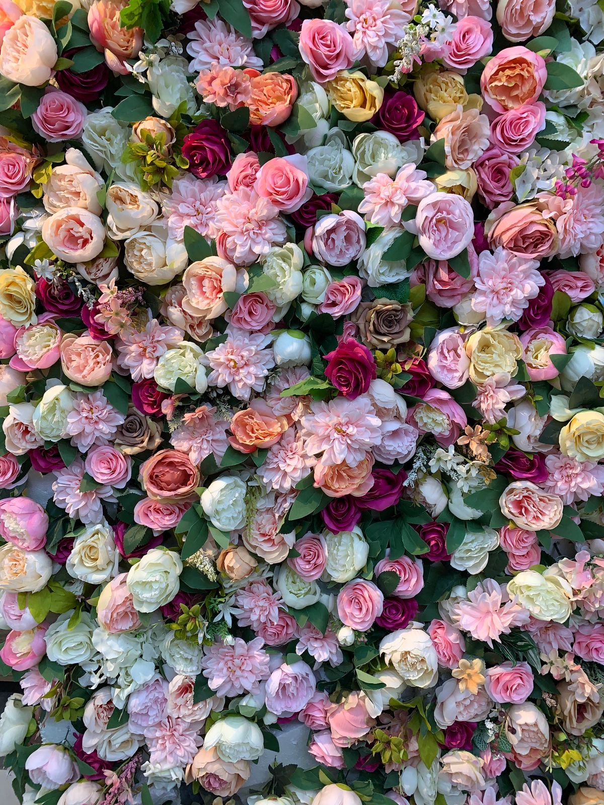 Blush pink and cream peony rose flower wall rental for weddings in Calgary