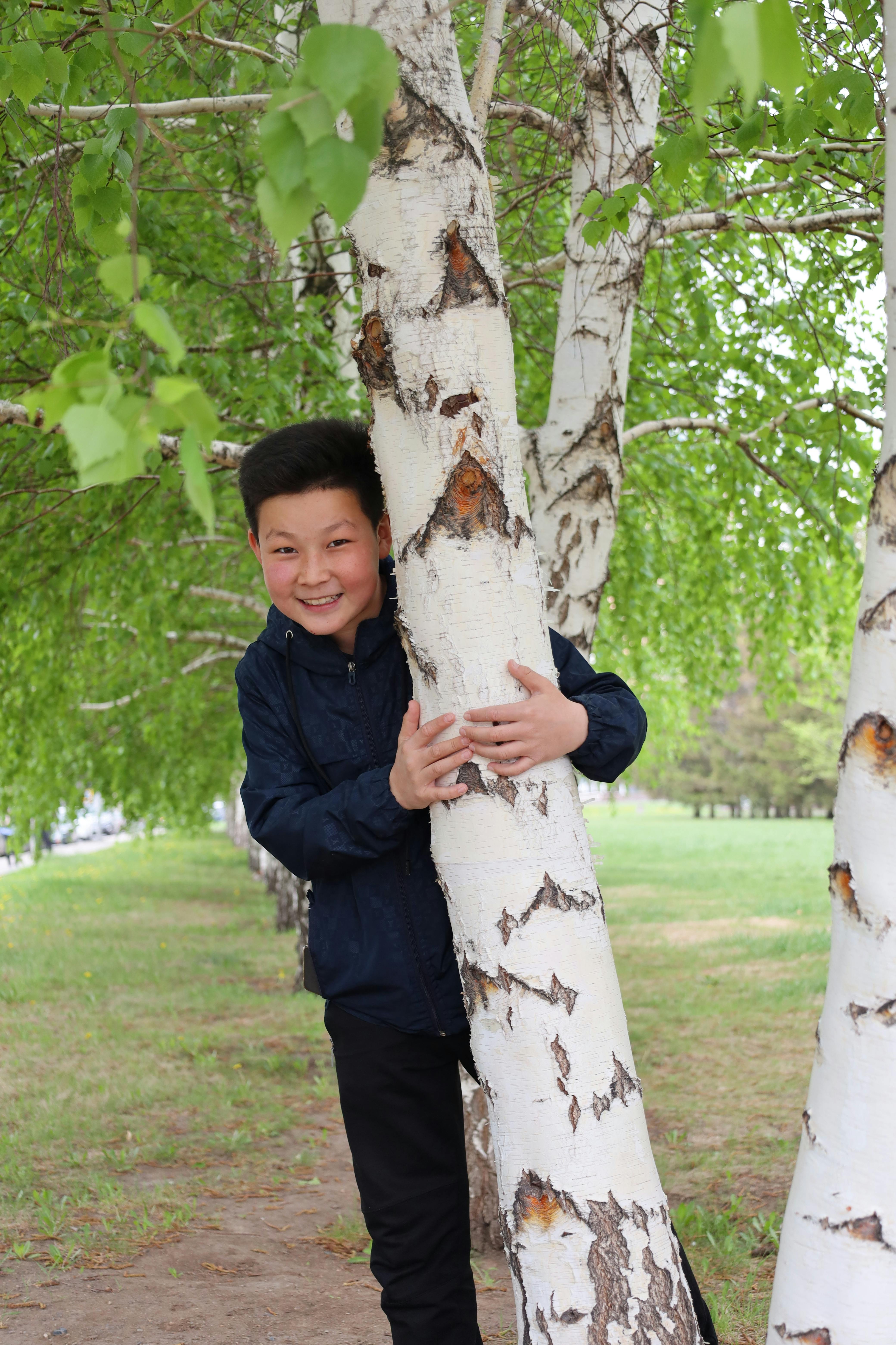 A happy child peeking from behind a birch tree outdoors.