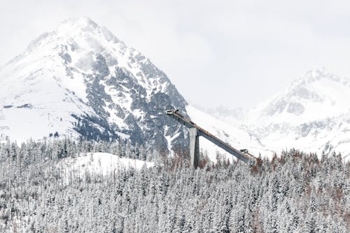 Mountains and Trees Covered with Snow