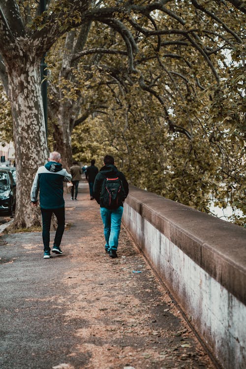 Imagine de stoc gratuită din arbori, bărbați, fotografiere verticală