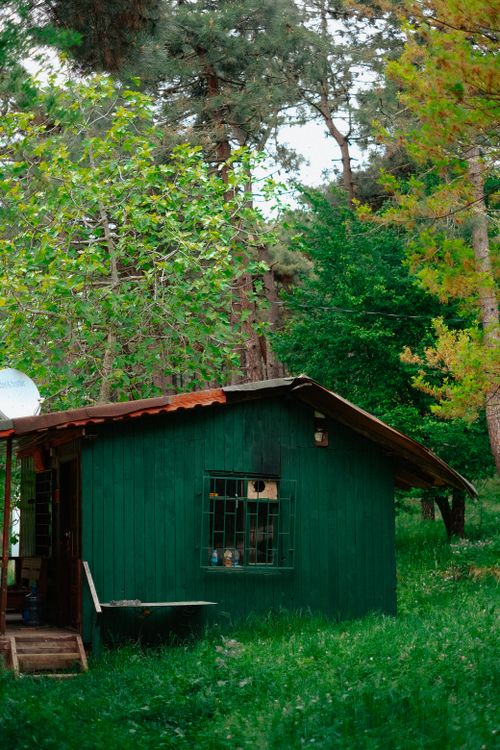 Free A quaint green wooden cabin nestled in lush forest greenery, perfect for tranquility seekers. Stock Photo