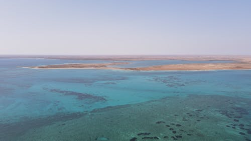 Clear Sky over Sea Shore